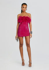 Torin Sequin Feather Dress