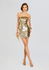 Nolia Sequin Embellished Dress
