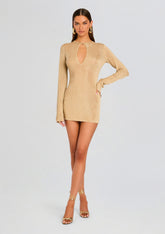 Emeri Metallic Knit Mini Dress
