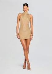 Gio Metallic Knit Mini Dress