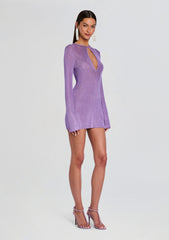 Emeri Metallic Knit Mini Dress