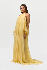 Chiffon Pleated Gown