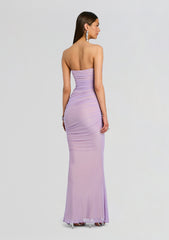 Quintessa Mesh Dress