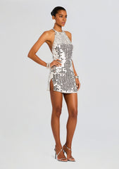 Freddie Embellished Dress